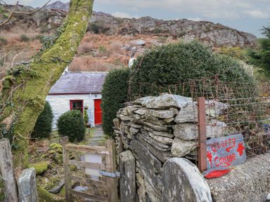 A stone wall and wooden gate leading to a white cottage with a red door and window surrounded by bushes at Quarry Cottage in Blaenau Ffestiniog