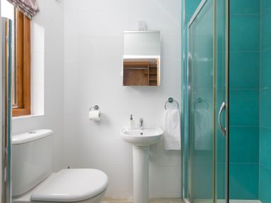 A bathroom with a shower, toilet, and sink at Branock, Tor Down Quarry St Breward