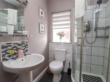 A bathroom with a shower enclosure sink toilet and window with flowers at Church View in Atwick
