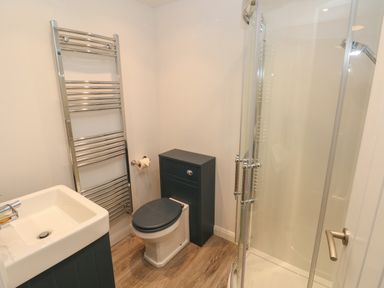 A bathroom with a sink a toilet a glass shower enclosure and a chrome towel radiator at Ty Rhydd in Newport Pembrokeshire