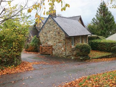 A stone cottage with a slate roof surrounded by trees and bushes with fallen leaves on the ground at Ty Rhydd in Newport Pembrokeshire