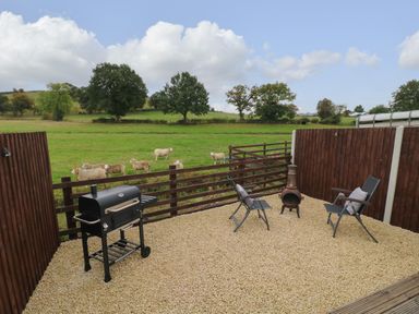 A fenced outdoor patio with two chairs a chiminea a barbecue and sheep in a field beyond at The Pod at Bank House Farm The Blythe near Hixon