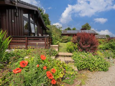 A garden with red flowers shrubs and stone steps beside a wooden house at Greengarth in Yanwath near Penrith
