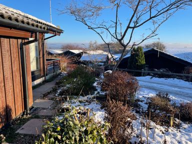 A snowy garden path beside a wooden house with leafless trees and houses in the background at Greengarth in Yanwath near Penrith