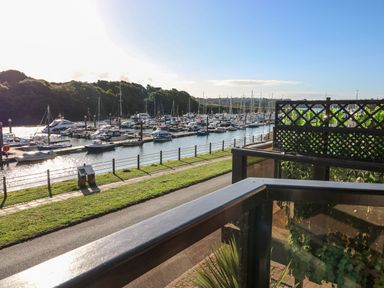 A view of boats docked at a marina with a railing and plants in the foreground at Yacht Haven View in Neyland