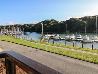 A view of boats moored along a river with a road and grassy area in the foreground at Yacht Haven View in Neyland