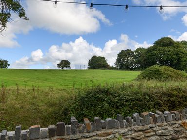 A grassy field with trees in the background and a stone wall in the foreground at Ty Bach - Beaumaris
