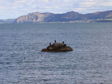 A rock in the sea with birds perched on it and hills in the background at Ty Bach - Beaumaris