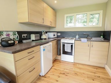 A kitchen with wooden cabinets a white stove a microwave kettle toaster and a small refrigerator at 107 Kings Chalet Park in Cromer