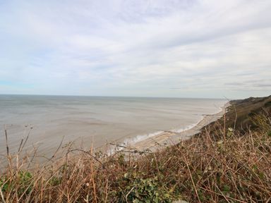 A coastal view with a sandy beach and sea seen from a cliff with dry vegetation at 107 Kings Chalet Park in Cromer