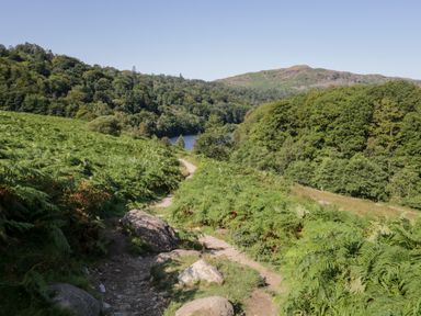 A dirt path surrounded by green vegetation and trees with hills in the background at Hollytree Lodge Beckside 1 Limefitt Park near Windermere