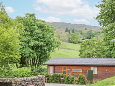 A wooden lodge surrounded by trees and greenery with hills in the background at Hollytree Lodge Beckside 1 Limefitt Park near Windermere