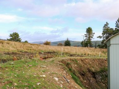 A grassy hillside with scattered trees and a partially visible shed at Shepherds Retreat Glenlark in Gortin near Greencastle