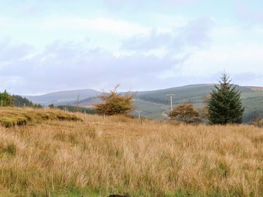 A grassy field with scattered trees and a background of hills and power lines at Shepherds Retreat Glenlark in Gortin near Greencastle