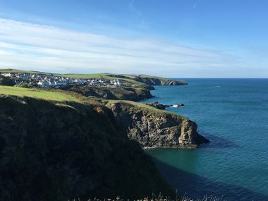A coastal landscape with cliffs, grass fields, houses in the distance, and the ocean at Honey Cottage in Port Isaac