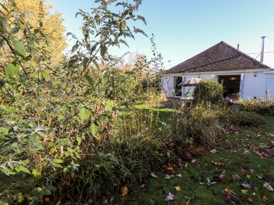 A garden with plants and fallen leaves in front of a house with open doors at The Croft in Newport Pembrokeshire