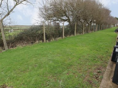 A grassy outdoor area with a wire fence and trees at 13 Gower Holiday Village in Scurlage