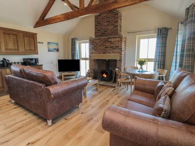 A living room with brown leather sofas a brick fireplace a dining table with chairs and a television at Glebe Cottage in Embleton