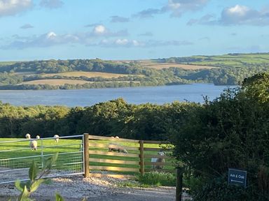 A green field with sheep behind a wooden fence next to a metal gate overlooking a river and rolling hills at Ash in Saltash