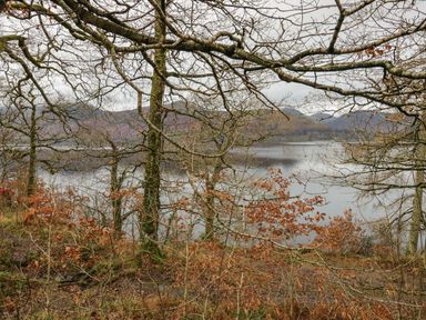A view of a lake through leafless and partially leafed trees with hills in the background at Derwent Cottage in Keswick