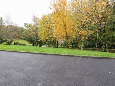 A paved road with a grass verge and trees with yellow leaves at Hazelwood in Leap County Cork