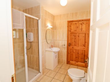 A bathroom with a shower enclosure, a sink with a mirror, a toilet, and a wooden door at Hazelwood in Leap County Cork
