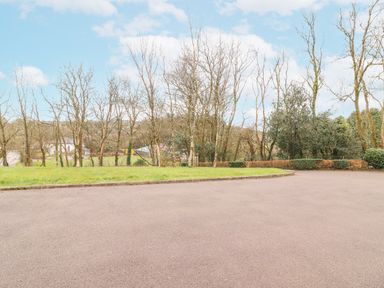 A paved area in front of grass and leafless trees with some houses visible in the background at Hazelwood in Leap County Cork