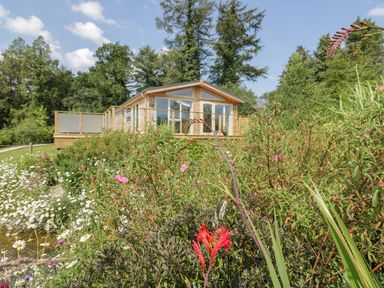 A wooden cabin with glass doors surrounded by flowers and trees at 2 Faraway Fields in Dobwalls