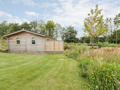 A wooden cabin on a grassy lawn with trees and wildflowers at 21 Meadow Retreat in Dobwalls