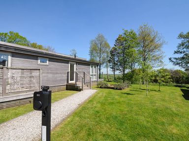 A wooden house with a small porch and gravel pathway surrounded by grass and trees at 19 Meadow Retreat in Dobwalls