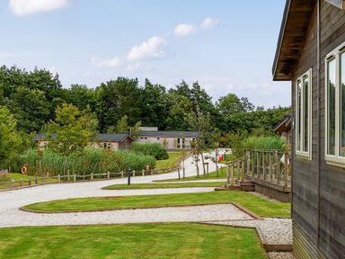 A gravel pathway with grass and wooden cabins surrounded by trees at 11 Faraway Fields in Dobwalls