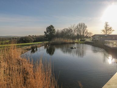 A pond with reeds and trees beside a building with a deck at 12 Faraway Fields in Dobwalls