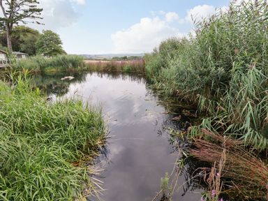 A pond surrounded by tall grass and plants with trees and hills in the background at 15 Faraway Fields in Dobwalls