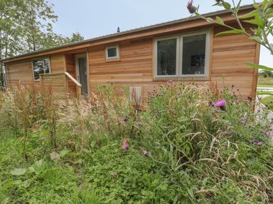A wooden cabin with windows and a door surrounded by tall grass and wildflowers at 18 Meadow Retreat in Dobwalls