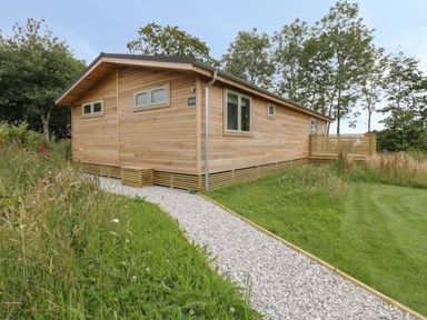 A wooden cabin with windows and a gravel path in a grassy area at 18 Meadow Retreat in Dobwalls