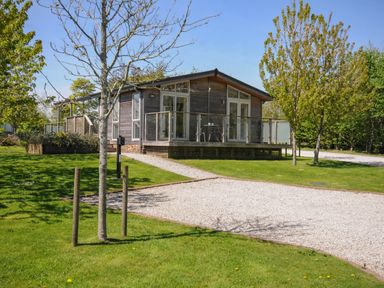 A wooden cabin with glass doors and balcony on a grassy plot with trees and a gravel path at 11 Meadow Retreat in Dobwalls