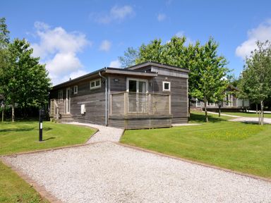 A cabin with a pathway and trees at 12 Meadow Retreat in Dobwalls