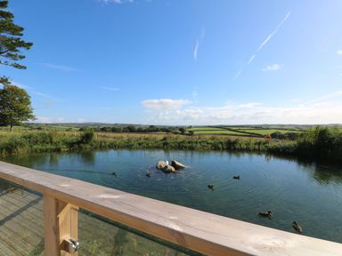 A wooden railing overlooking a pond with ducks and rocks in a rural field at 14 Faraway Fields in Dobwalls