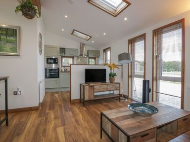 A living room with wooden floor, coffee table with bowl, TV on wooden stand, floor lamp, and kitchen area in the background at 9 Meadow Retreat in Dobwalls
