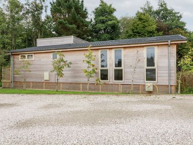 A single story wooden house with several windows and young trees in front at 9 Meadow Retreat in Dobwalls