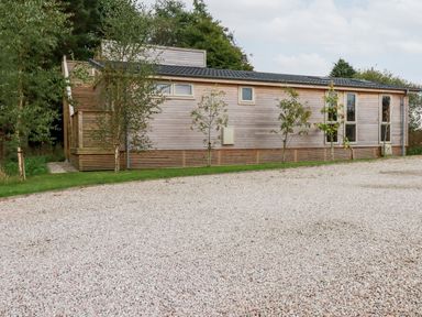 A modern wooden house with several windows and small trees in front at 9 Meadow Retreat in Dobwalls