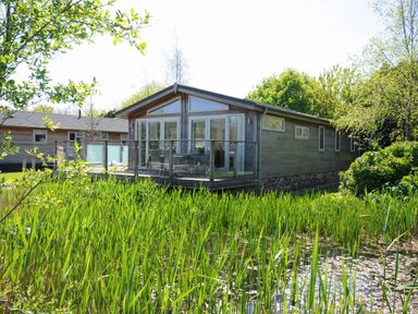 A wooden cabin with large windows and a glass railing deck surrounded by tall grass and trees at 5 Meadow Retreat in Dobwalls