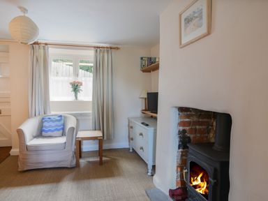 A living room with a white armchair and wooden table a fireplace with a burning fire a chest of drawers with a television and a window with curtains and flowers at 30 Sherborne Lane Lyme Regis