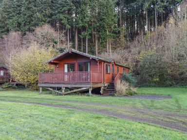 A wooden cabin on stilts surrounded by grass and trees at Dartmoor Retreat Lodge Clifford Bridge near Moretonhampstead