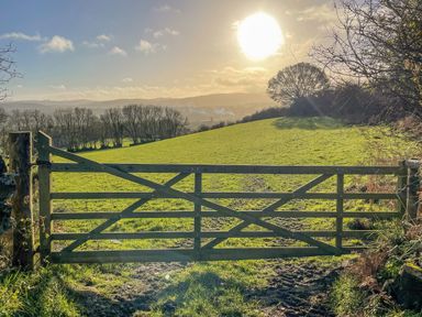A wooden gate opening to a grassy field with trees and hills in the background at Dartmoor Retreat Lodge Clifford Bridge near Moretonhampstead