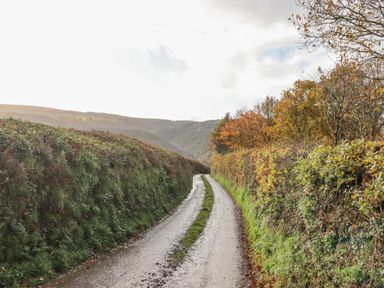 A narrow country road with wet pavement bordered by tall hedges and trees with autumn foliage at Dartmoor Retreat Lodge Clifford Bridge near Moretonhampstead