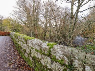 A moss covered stone wall beside a path with trees and a river in the background at Dartmoor Retreat Lodge in Clifford Bridge near Moretonhampstead