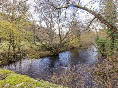 A river flowing through a wooded area with trees and moss-covered rocks at Dartmoor Retreat Lodge Clifford Bridge near Moretonhampstead