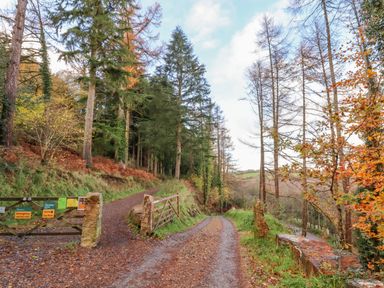A forest path with a gate and signs beside a gravel road in a wooded area
