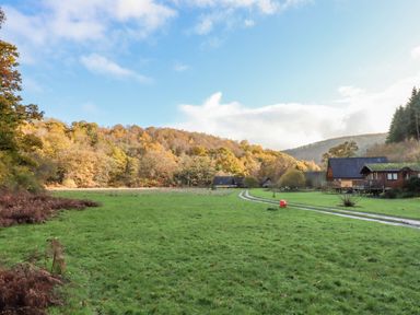 A grassy field with a dirt path leading to wooden cabins and trees in the background at Dartmoor Retreat Lodge in Clifford Bridge near Moretonhampstead